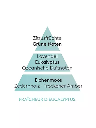 MAISON BERGER PARIS | Angélique Noire - Fragancia para Lampe Berger 500ml | transparent